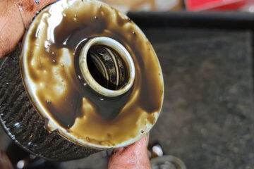 What Are Common Kia Oil Filter Problems? Signs And Fixes