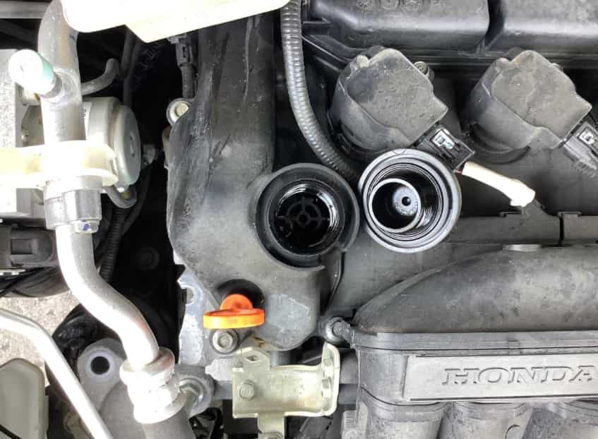 Honda Accord Oil Type