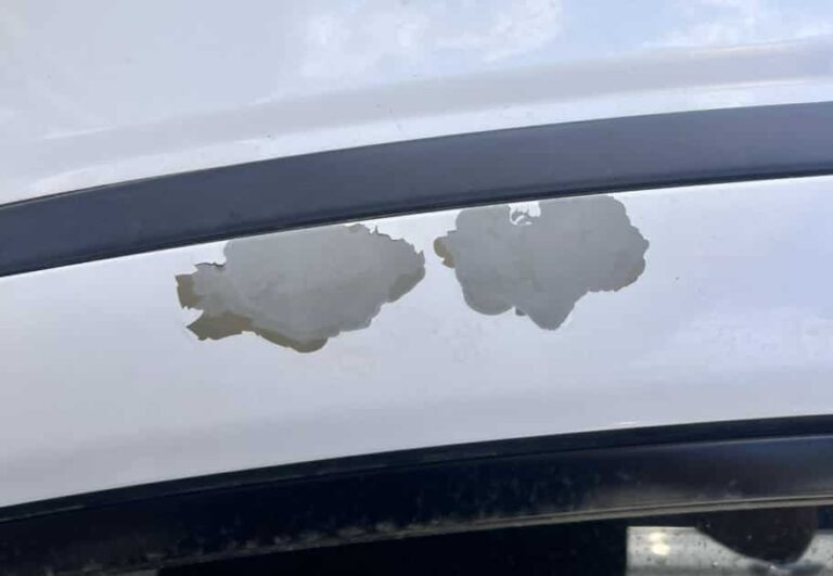Honda Paint Warranty