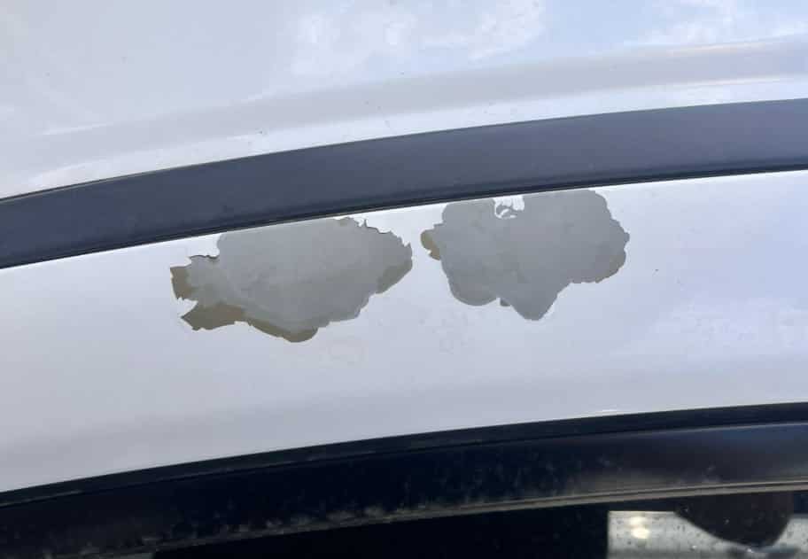 Honda Paint Warranty