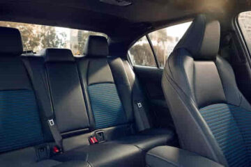 SofTex vs Leather: Which Seat Material Is Better for Your Car?