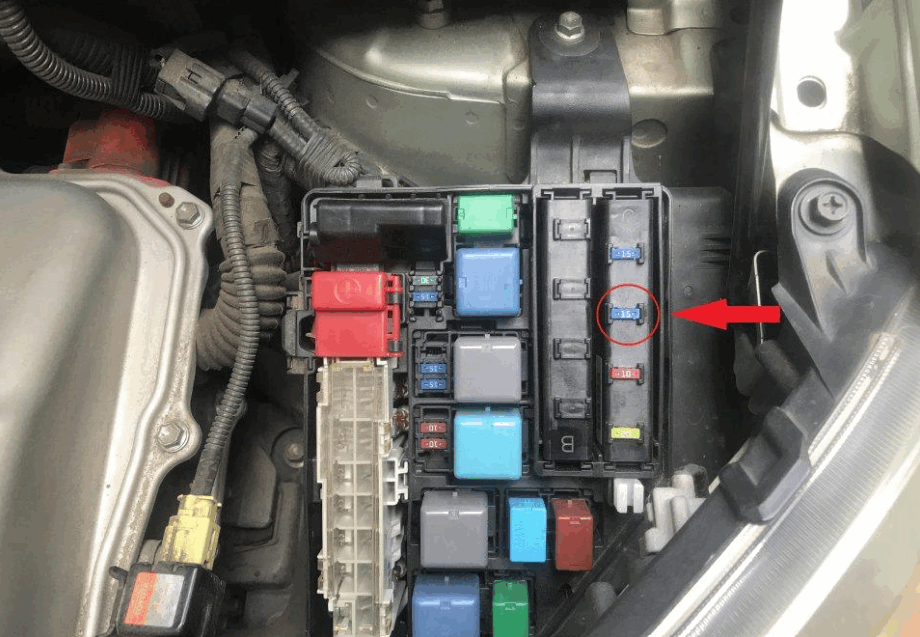 What is an AM2 fuse