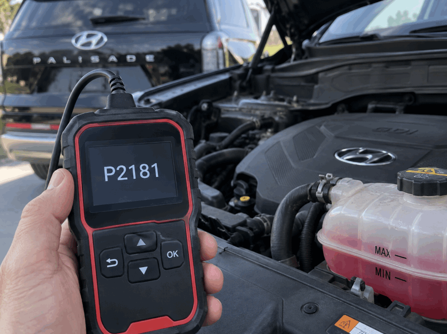Hyundai Palisade P2181